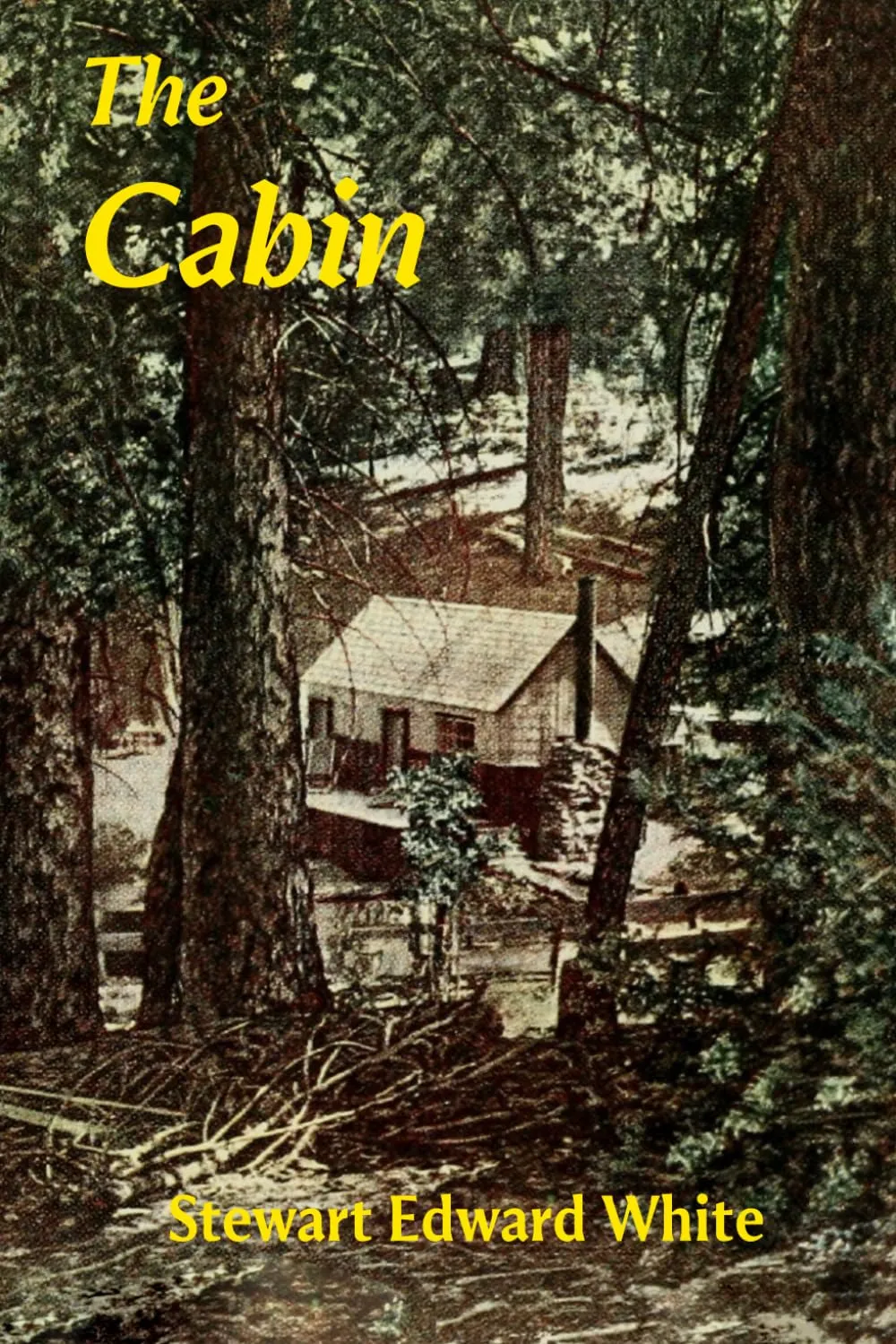 Cover of The Cabin by Stewart Edward White
